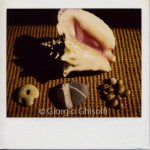 Shell 1997- Image Camera